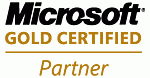 Microsoft Gold Level Business Partner logo