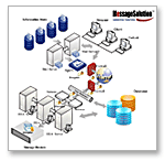 essageSolution SaaS Hosted Archiving Solution for Organizations of All Sizes - Organizations that Manage their own Email Servers or have Outsourced their Business Email Management to Email Hosting Firms and Consultants